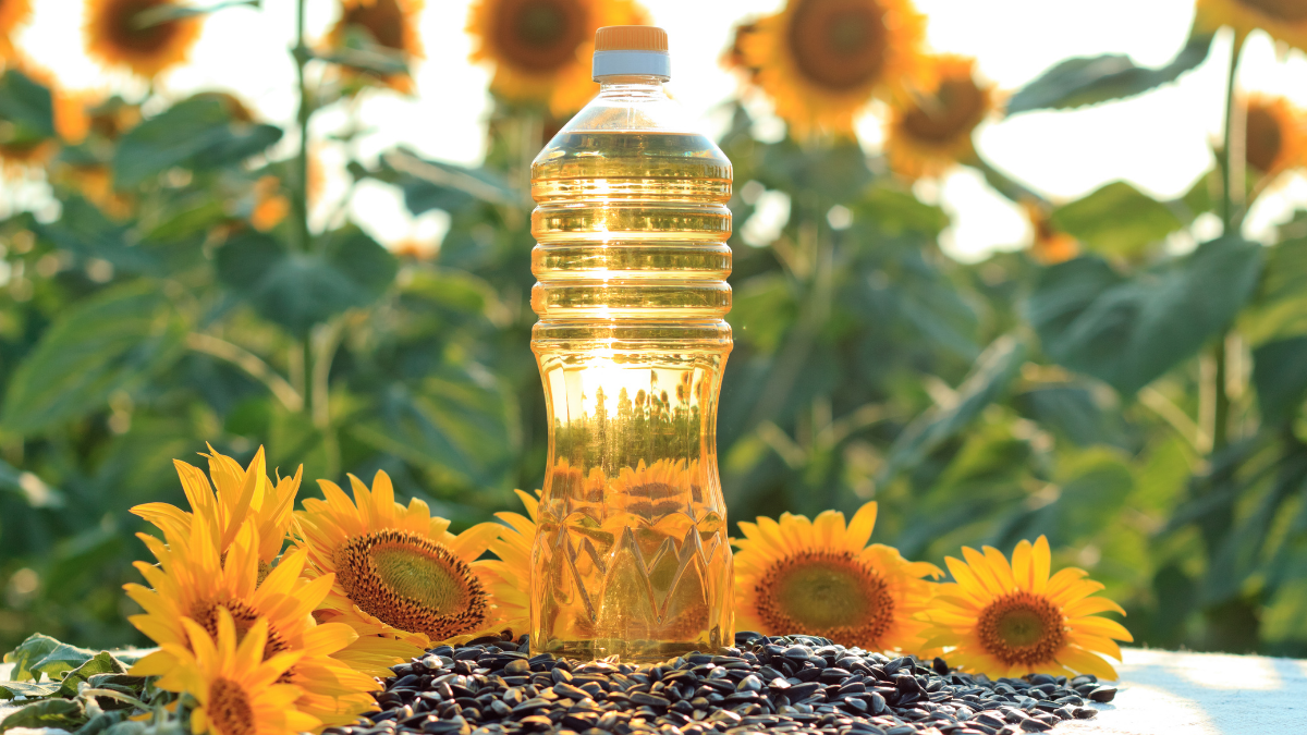 Bulk Sunflower Oil Wholesale,
Safya Sunflower Oil,
Turkish Sunflower Oil,
Refined Sunflower Oil,
Premium Sunflower Oil,
Edible Oil Supplier,
Sunflower Oil Manufacturer,
Sunflower Oil Exporter,
Wholesale Sunflower Oil,
Bulk Sunflower Oil,
Cooking Oil Supplier,
Vegetable Oil Exporter,
Food Grade Sunflower Oil,
Refined Corn Oil,
Turkish Cooking Oil,
Sunflower Oil Wholesale,